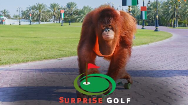 Can an Orangutan Drive a Golf Cart